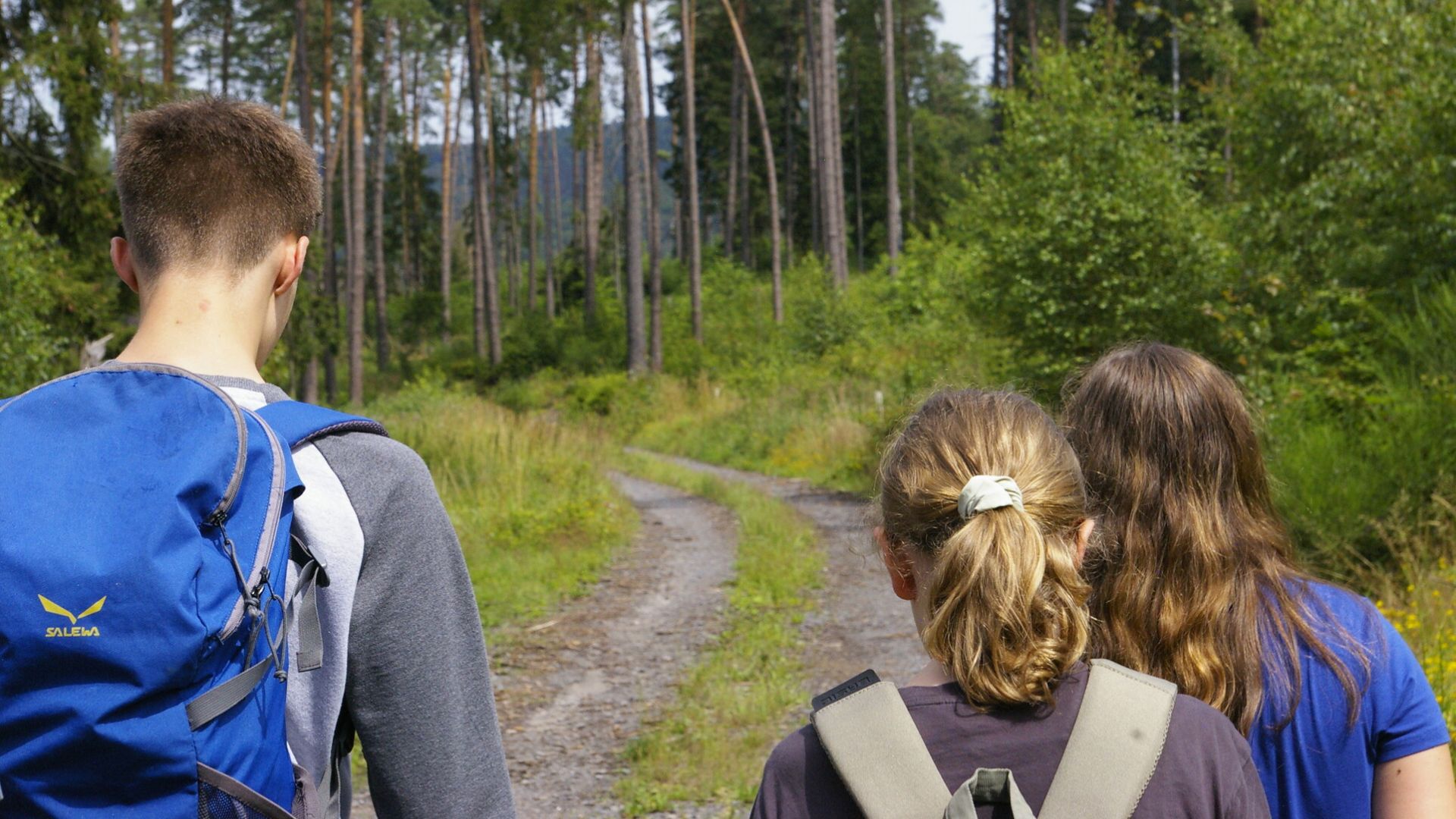 Das Bild zeigt drei Jugendliche von hinten, die auf einem unbefestigten Weg in einem Wald gehen.  Eine Person mit einem blauen Rucksack führt die Gruppe an,  gefolgt von zwei jüngeren Personen, die ebenfalls Rucksäcke tragen.  Der Weg schlängelt sich durch den Wald, der von hohen Bäumen und grünem Unterholz geprägt ist. Der Fokus liegt auf den Personen und ihrem Weg durch die Natur.